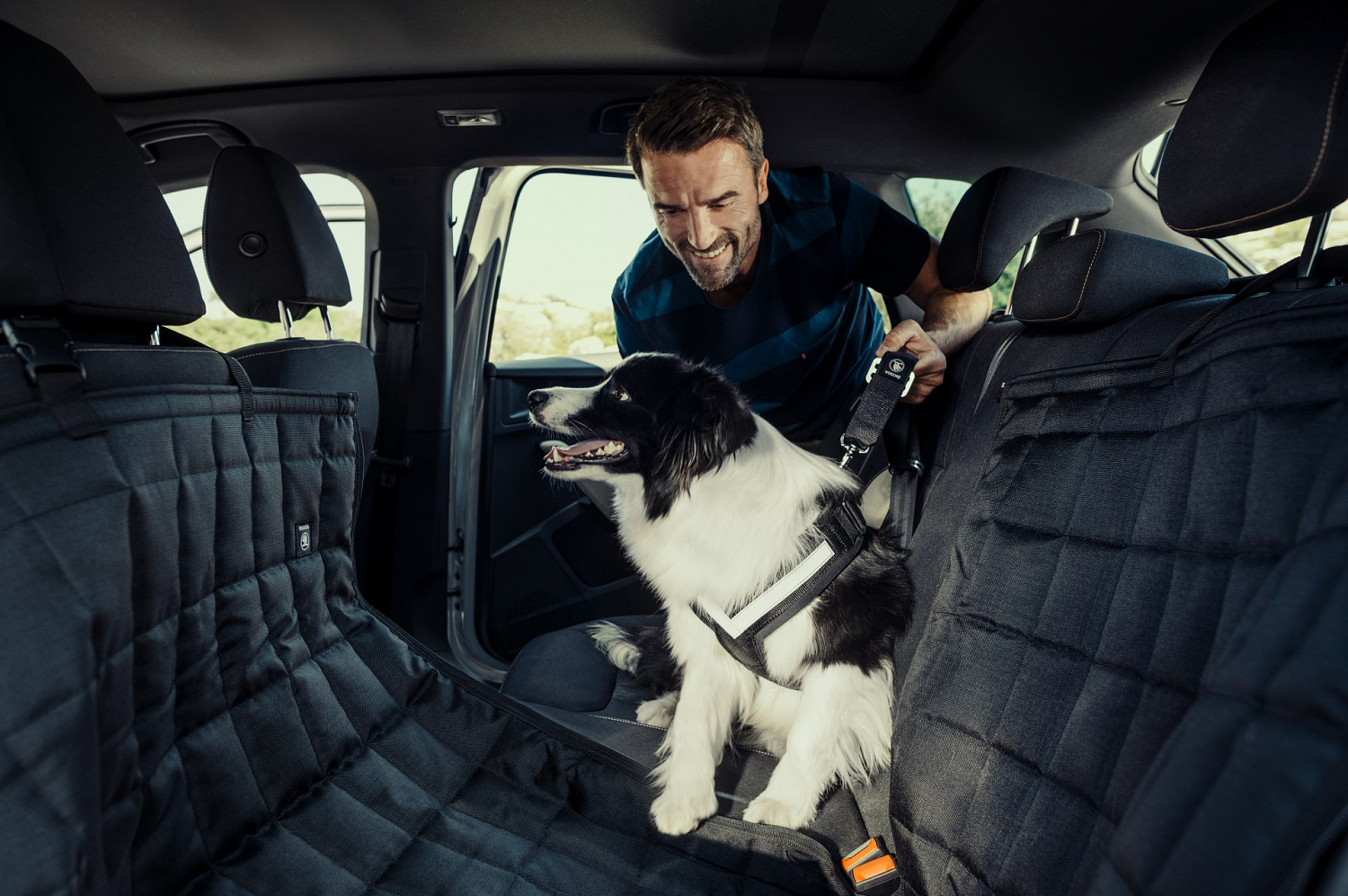 Při přepravě psa na zadním sedadle je bezpečnostní pás pro psa nezbytností.